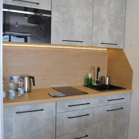 Apartamenty Natalia - Bezplatny Parking Krynica-Zdrój Esterno foto
